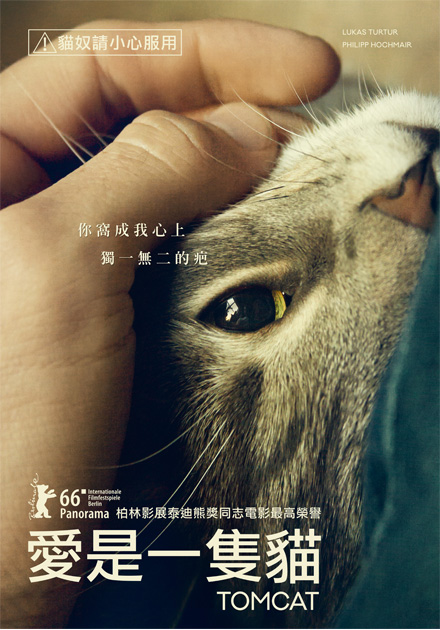 愛是一隻貓 線上看 電影 劇情 Hamivideo