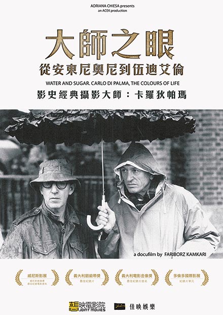 大師之眼—從安東尼奧尼到伍迪艾倫