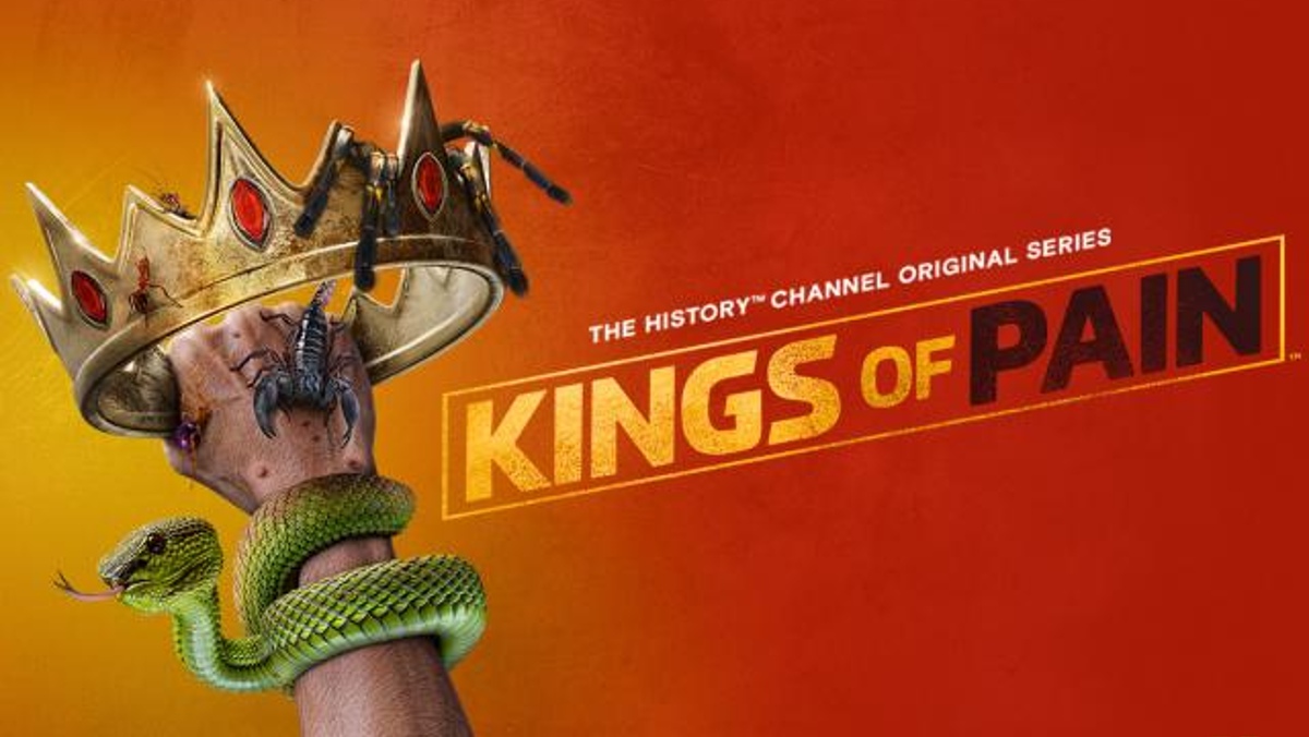 痛苦之王S2
