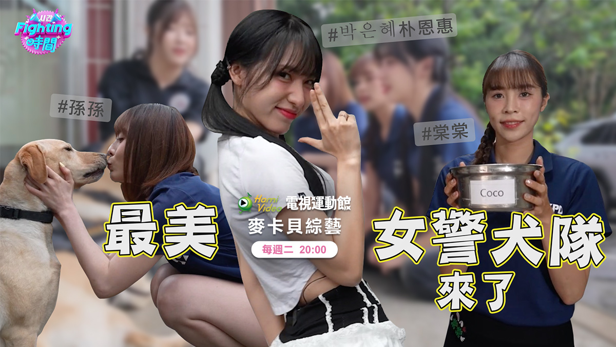 Fighting時間