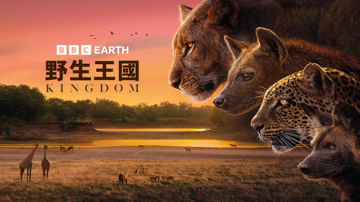<BBC Earth>野生王國