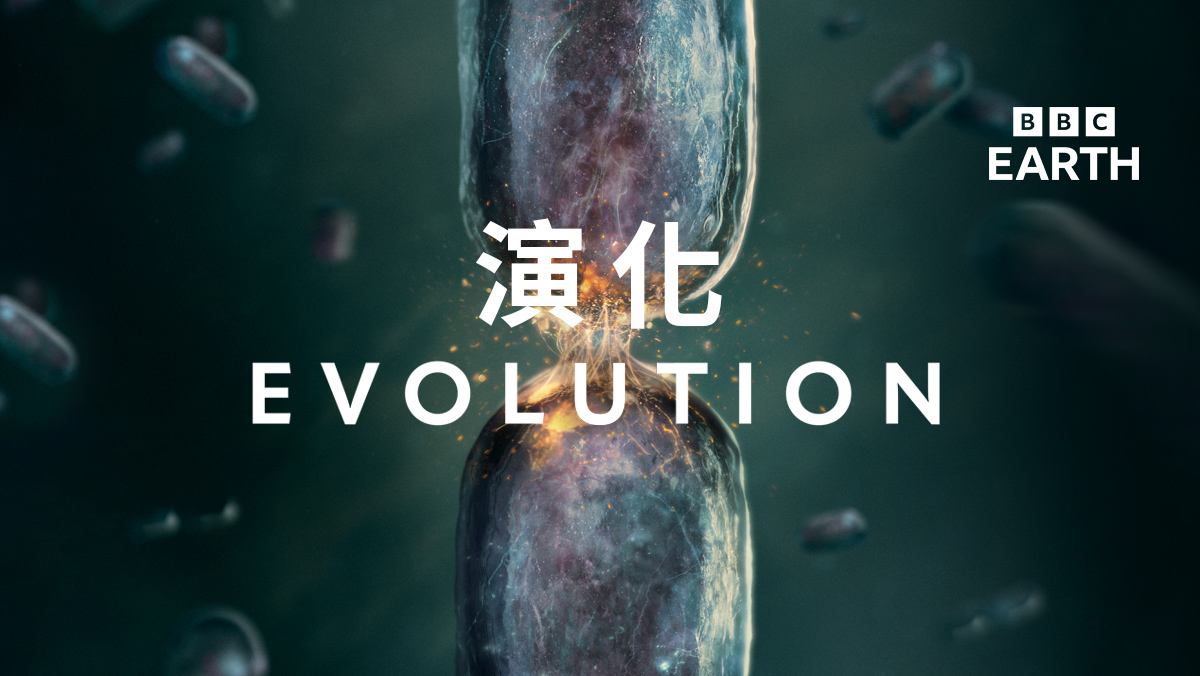 <BBC Earth>演化