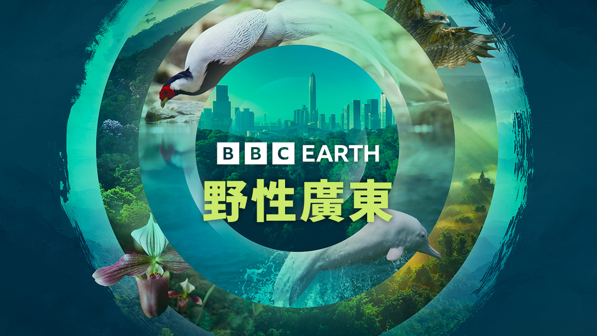 <BBC Earth>野性廣東