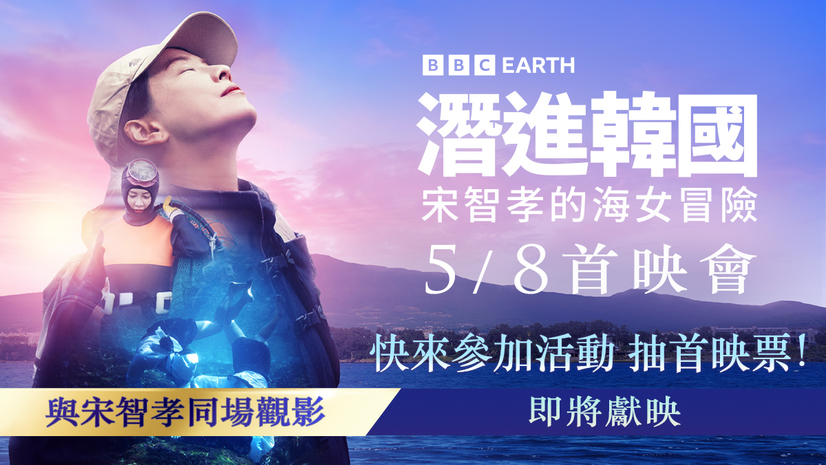 《潛進韓國：宋智孝的海女冒險》