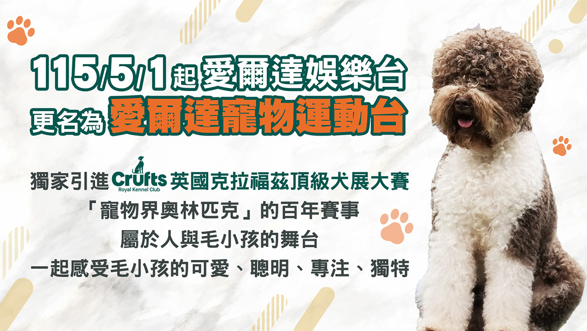 更名公告