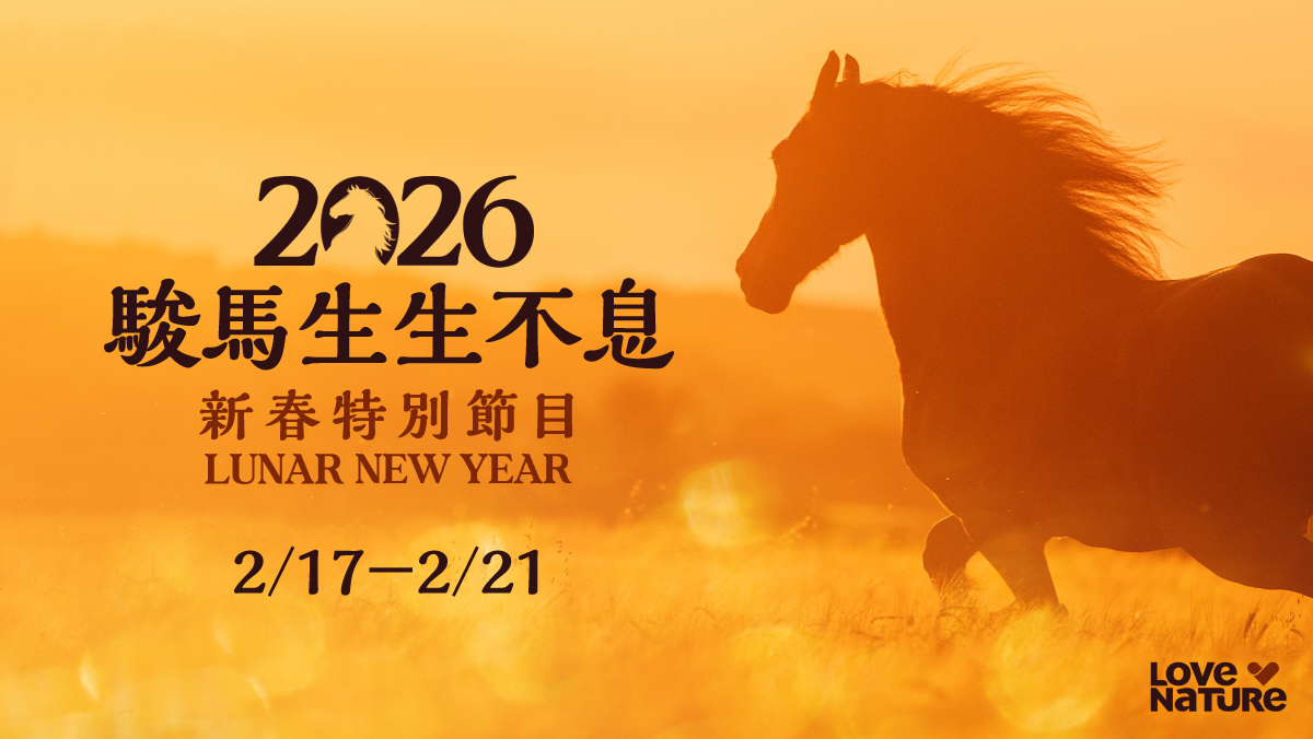 2026 駿馬生生不息
