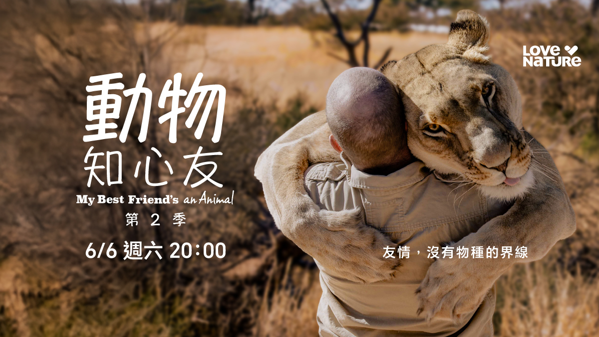 動物知心友-第2季