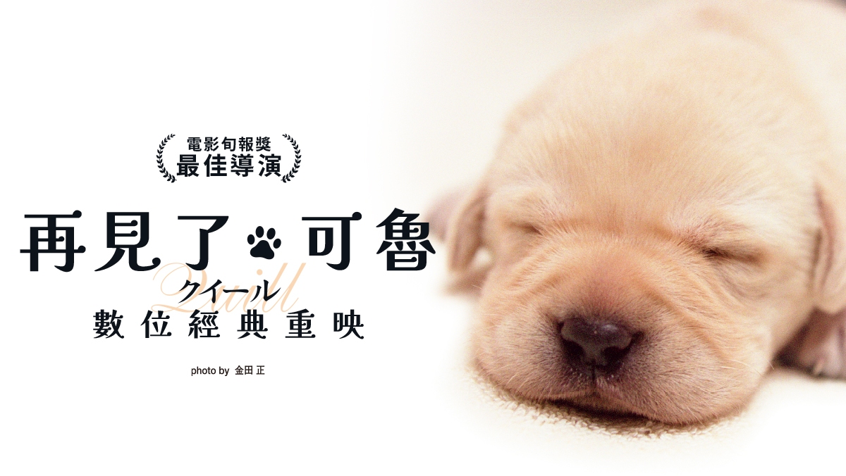 再見了，可魯：數位經典重映