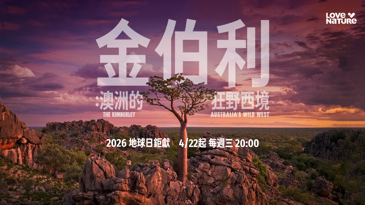 金伯利