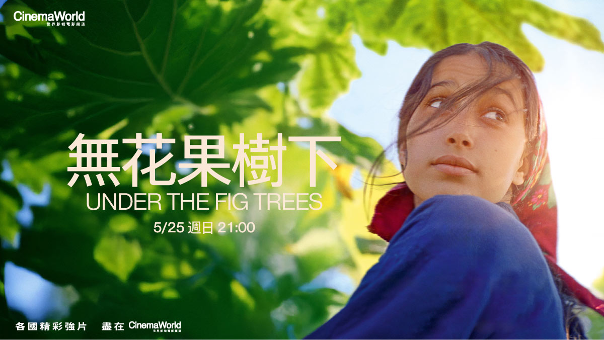 無花果樹下