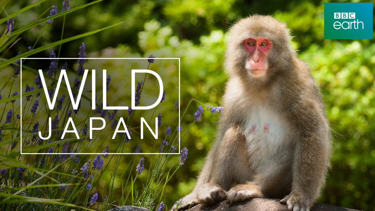 <BBC Earth>野性日本