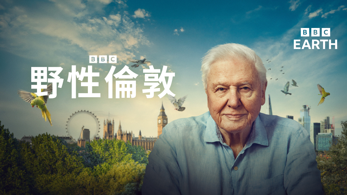 <BBC Earth>野性倫敦