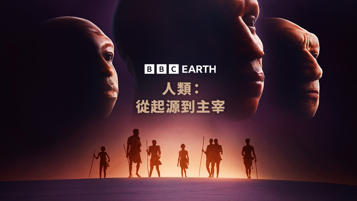 人類：從起源到主宰