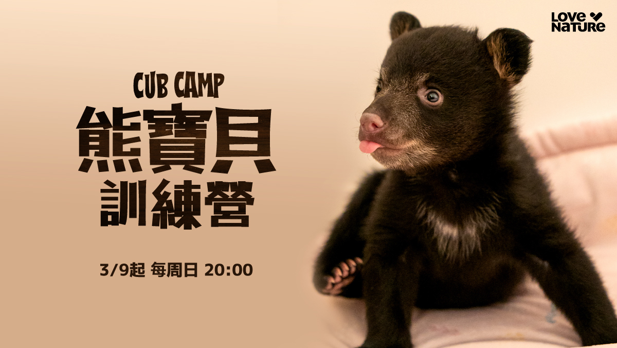 熊寶貝訓練營