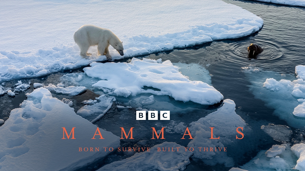 (BBC Earth)哺乳動物大解密-冰天雪地