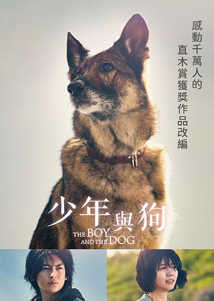少年與狗