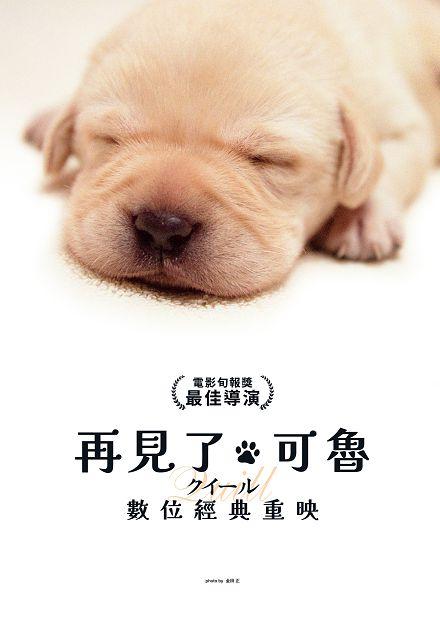 再見了，可魯：數位經典重映