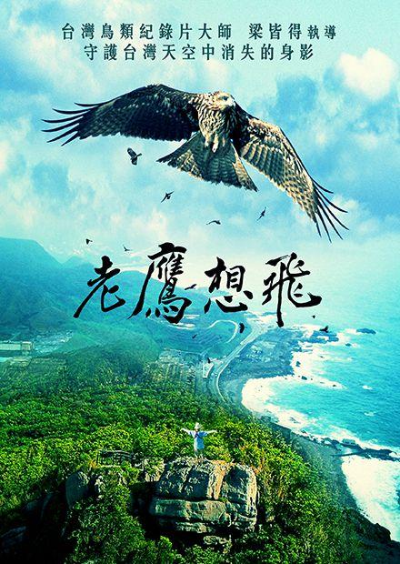老鷹想飛