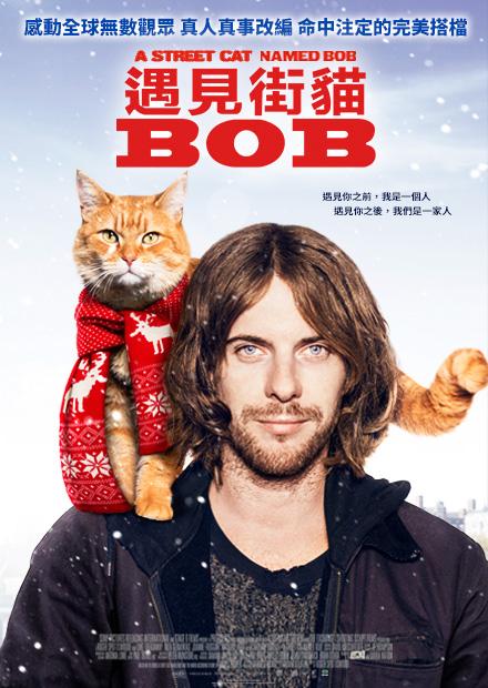 遇見街貓BOB