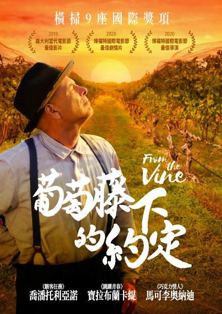 葡萄藤下的約定