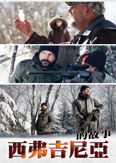 西弗吉尼亞的故事