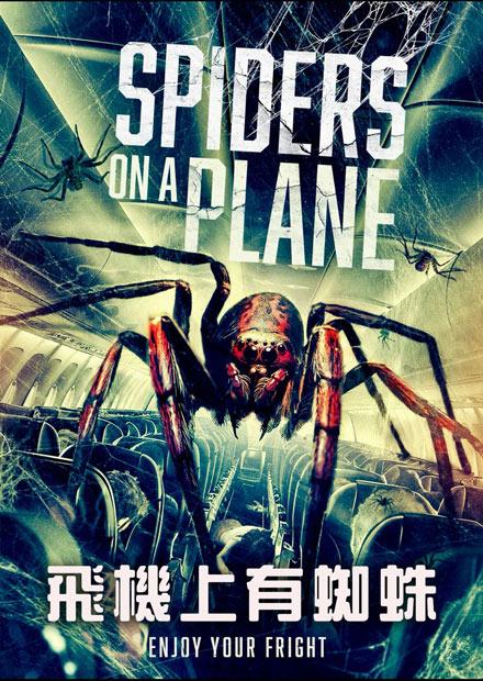 飛機上有蜘蛛