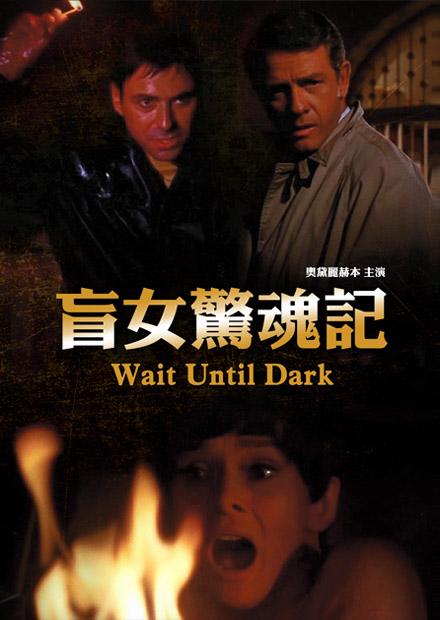 盲女驚魂記