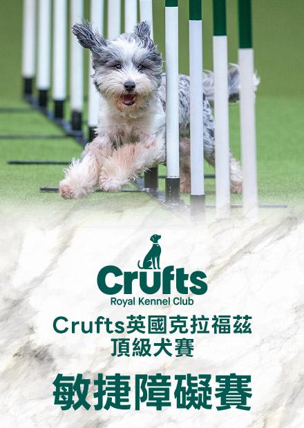 Crufts英國克拉福茲頂級犬賽-敏捷障礙賽