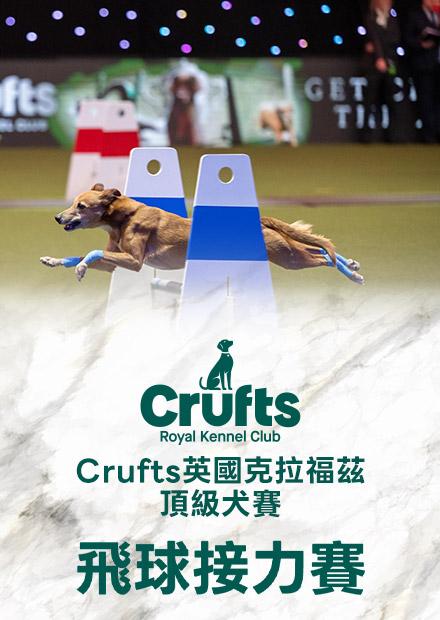 Crufts英國克拉福茲頂級犬賽-飛球接力賽