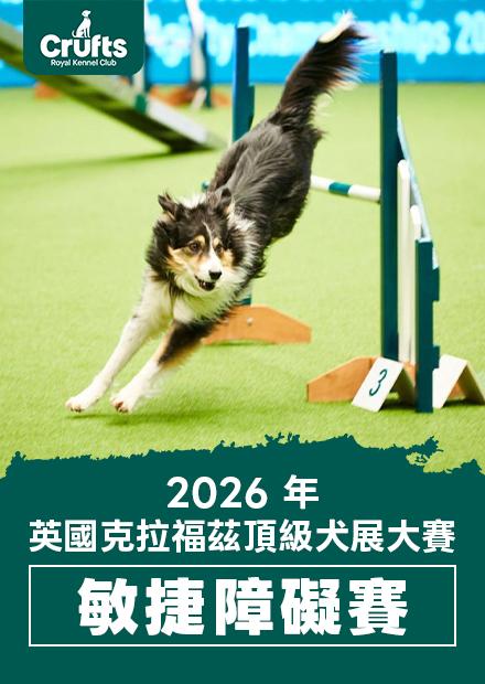 2026年Crufts英國克拉福茲頂級犬展大賽