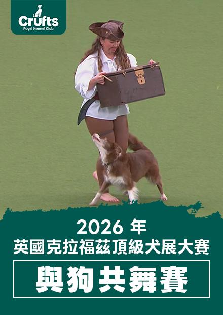 2026年Crufts英國克拉福茲頂級犬展大賽-與狗共舞賽