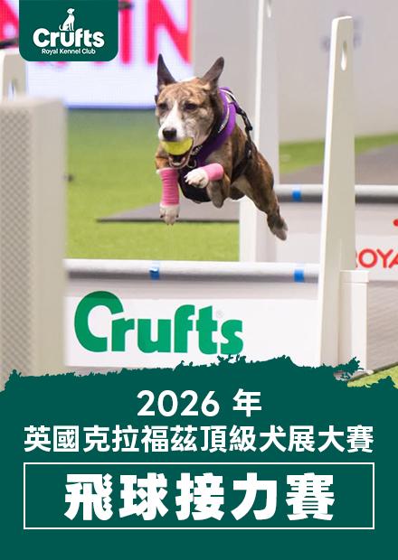 2026年Crufts英國克拉福茲頂級犬展大賽-飛球接力賽