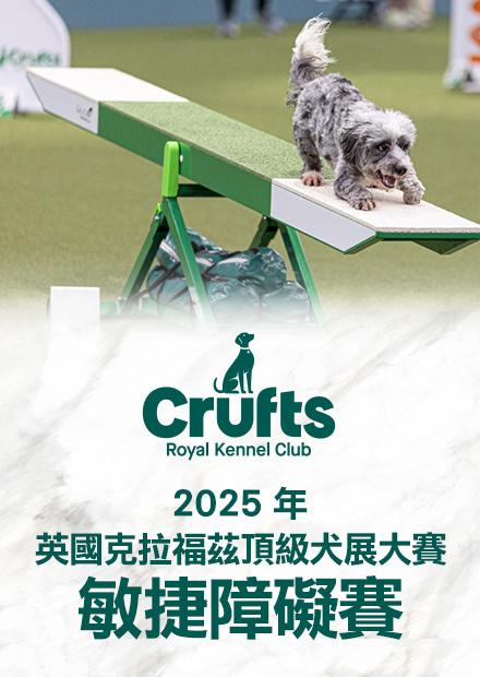 2025英國克拉福茲頂級犬賽 敏捷障礙賽