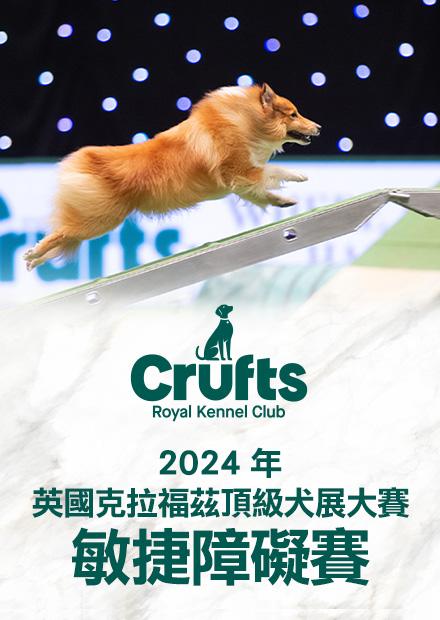 2024英國克拉福茲頂級犬賽 敏捷障礙賽