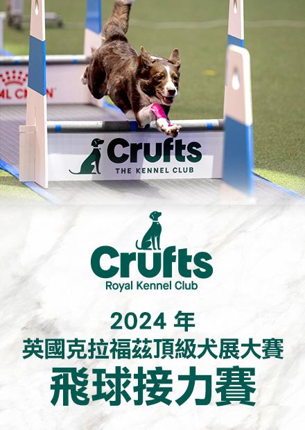 2024英國克拉福茲頂級犬賽 飛球接力賽