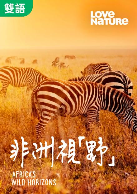 非洲視野S1(雙語)