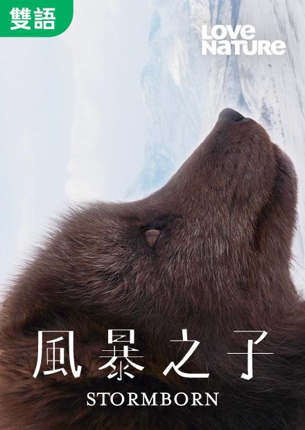 風暴之子(雙語)