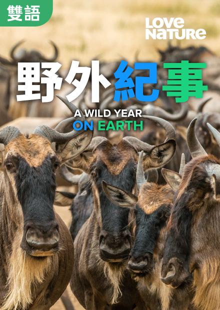 野外紀事(雙語)