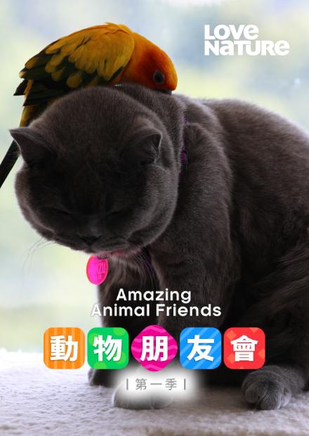 動物朋友會S1