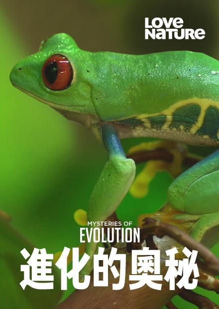進化的奧秘S1
