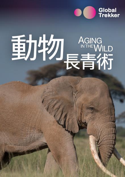 動物長青術