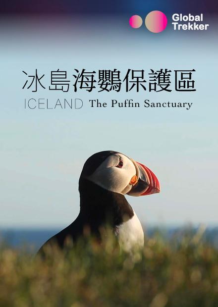 冰島：海鸚保護區