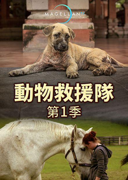 動物救援隊S1