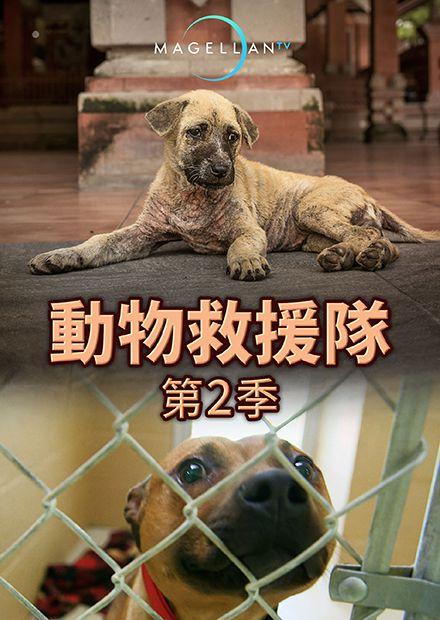 動物救援隊S2