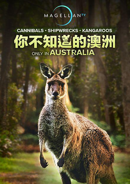 你不知道的澳洲