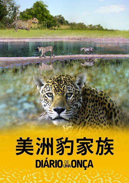美洲豹家族