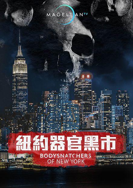 紐約器官黑市