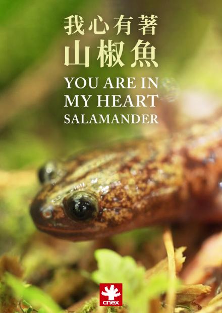 我心有著山椒魚