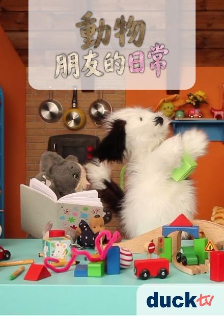 動物朋友的日常