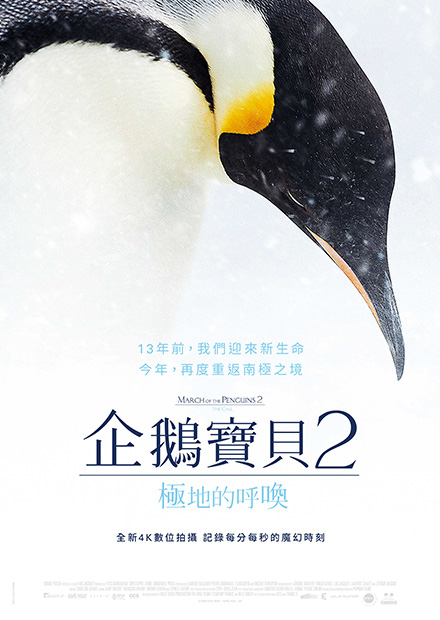 企鵝寶貝2：極地的呼喚